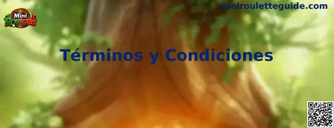 Términos y Condiciones de Mini Roulette